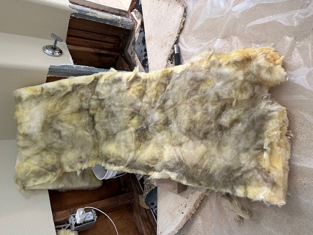 Chimney Leaks: fireplace wall insulation with mold damage